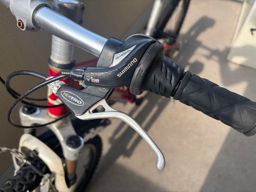 ルイガノ LOUIS GARNEAU LGS-J24 ジュニア自転車