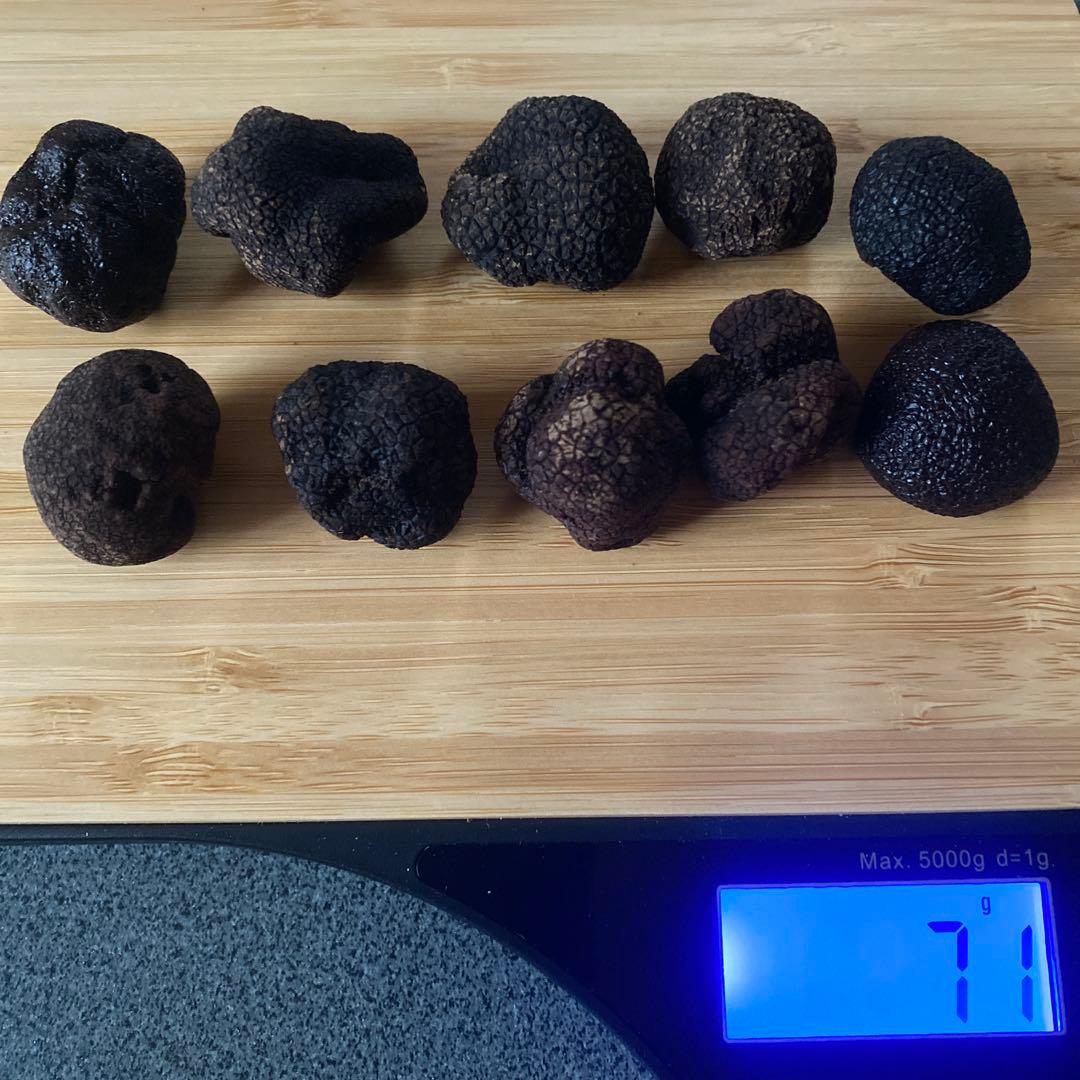 国産　山梨県産　天然黒トリュフ　大 約71g