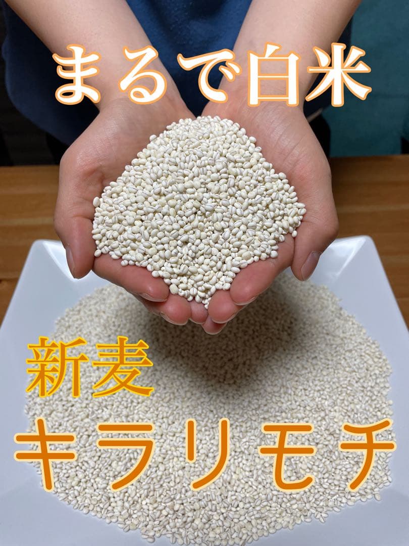 10kg 新麦　令和7年産　キラリモチ　もち麦　国産