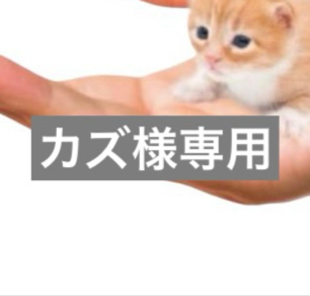 カズ