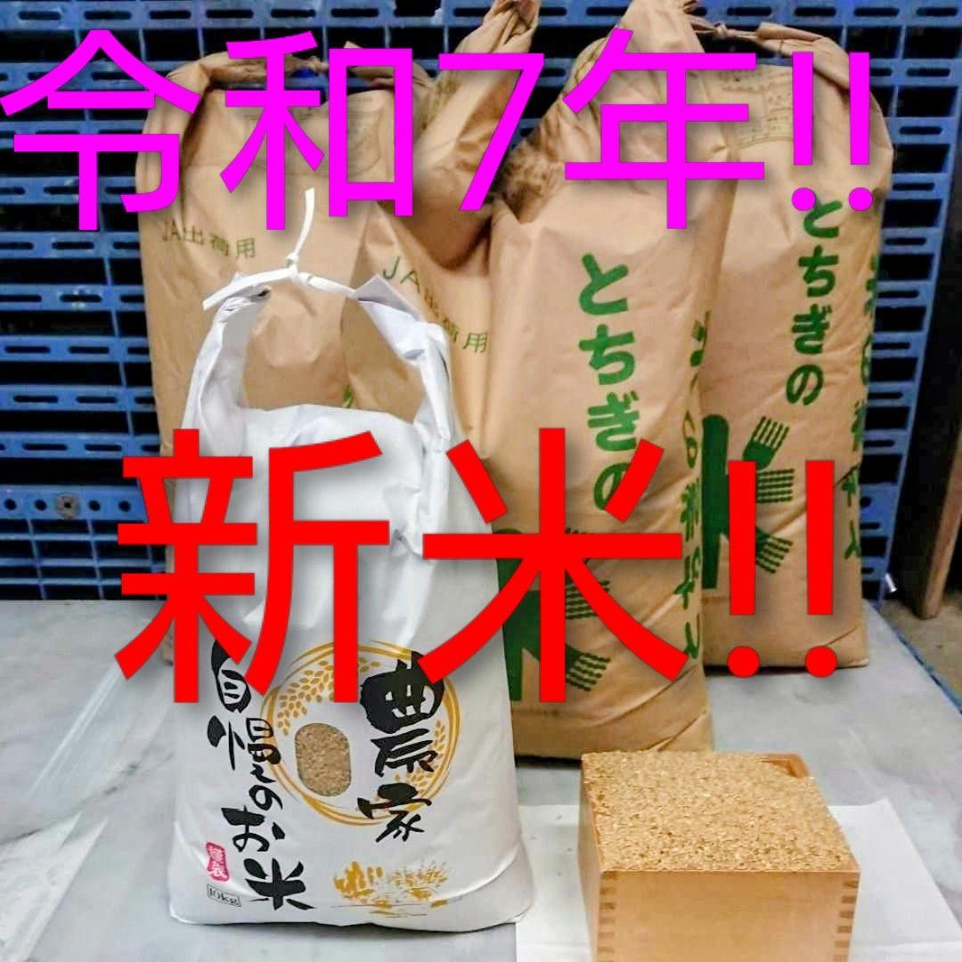 令和7年 新米 ! 精米無料 ! 栃木県大田原 黒羽産コシヒカリ 玄米10㎏