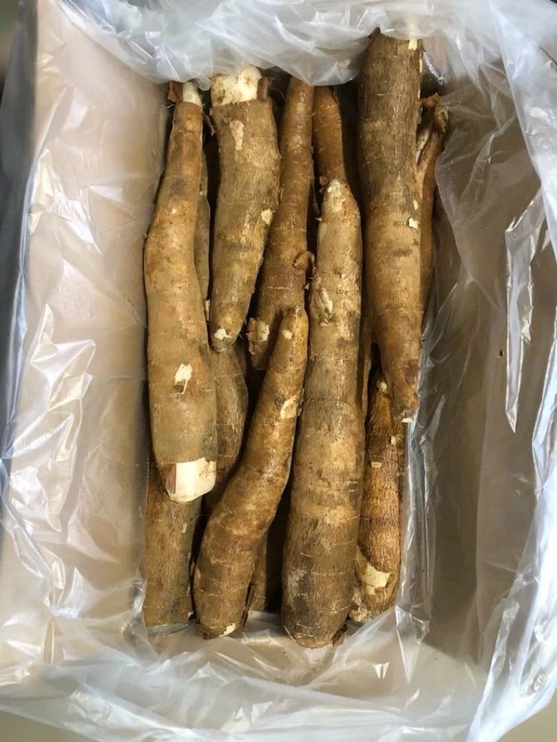 徳之島産キャッサバ生芋20キロ入り