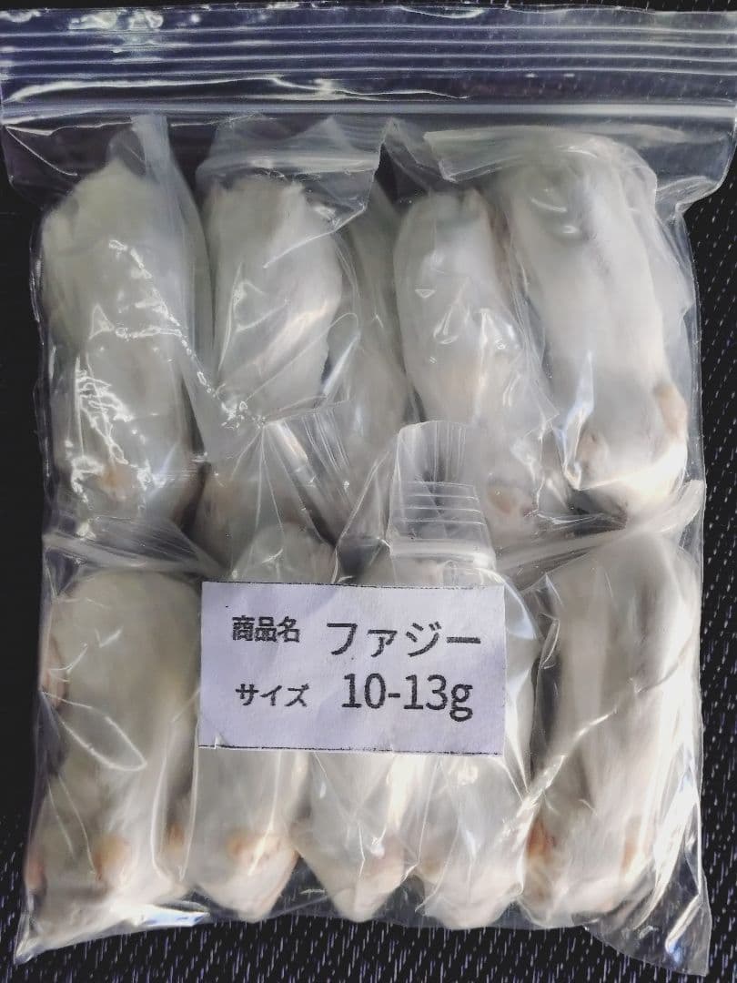 ウララ　送料無料 冷凍マウスファジー200匹 アダルトＬ100匹