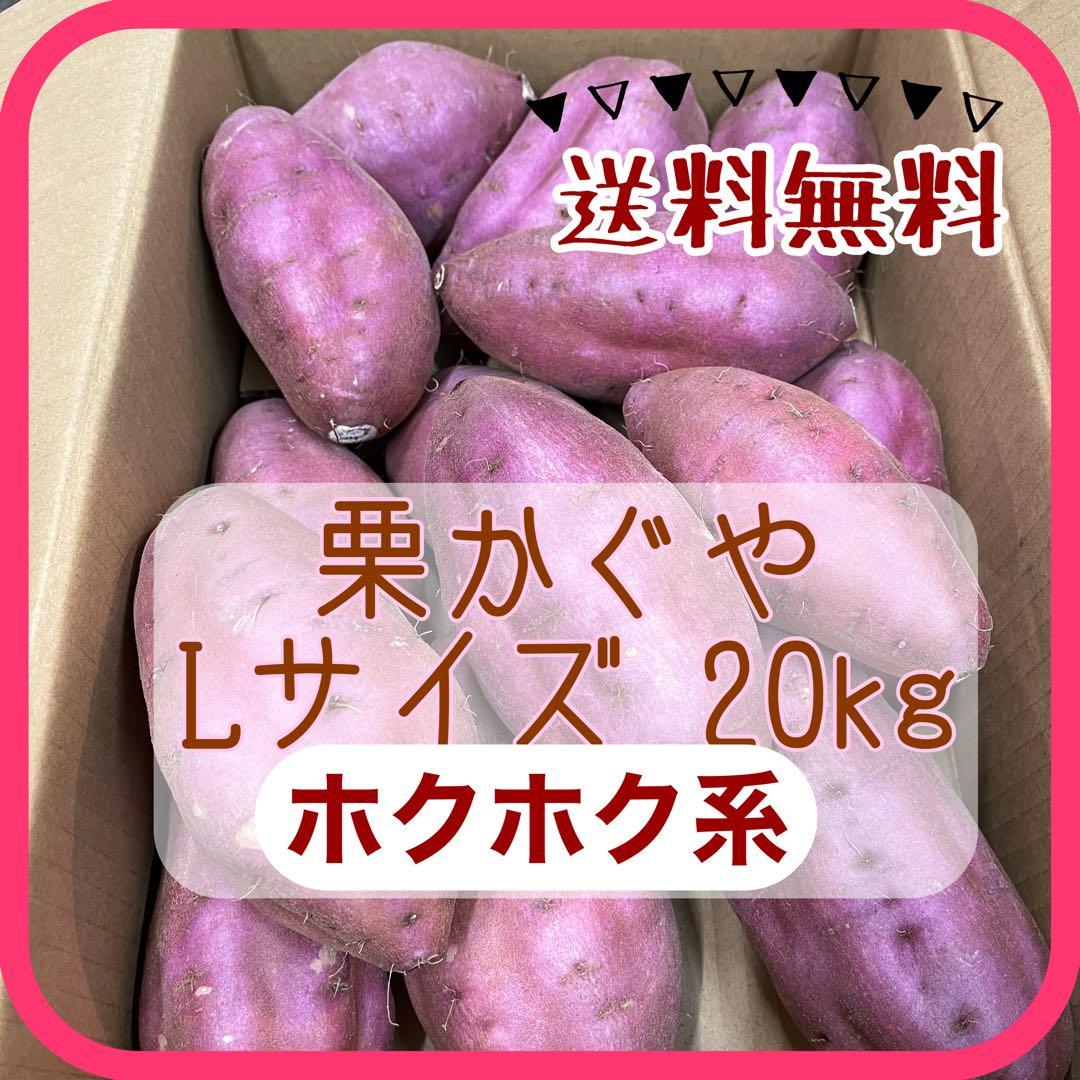 栗かぐや Lサイズ 20kg