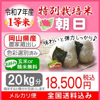 令和7年産 希少米 緑肥＆有機肥料 特別栽培米【朝日】20キロ