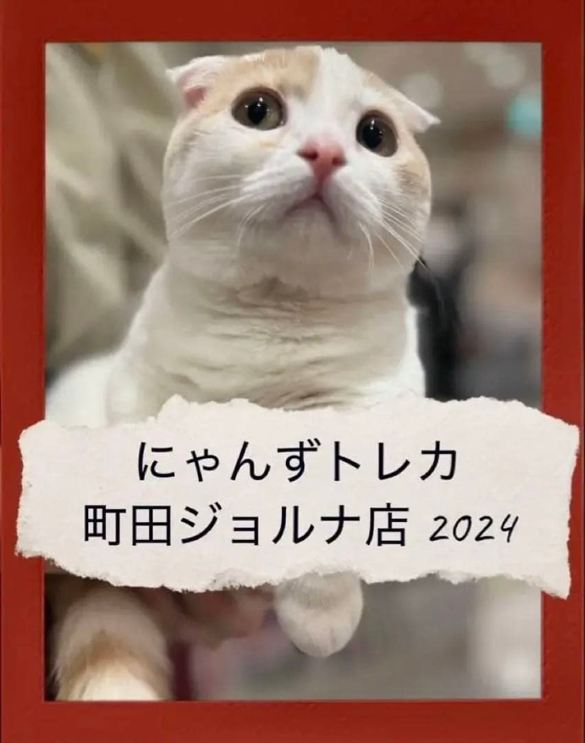 【バラ売り可】にゃんずトレカ町田ジョルナ店 2024