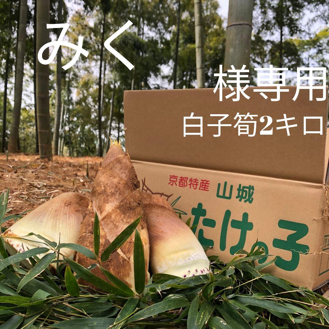 みく 白子筍 2キロ箱込み
