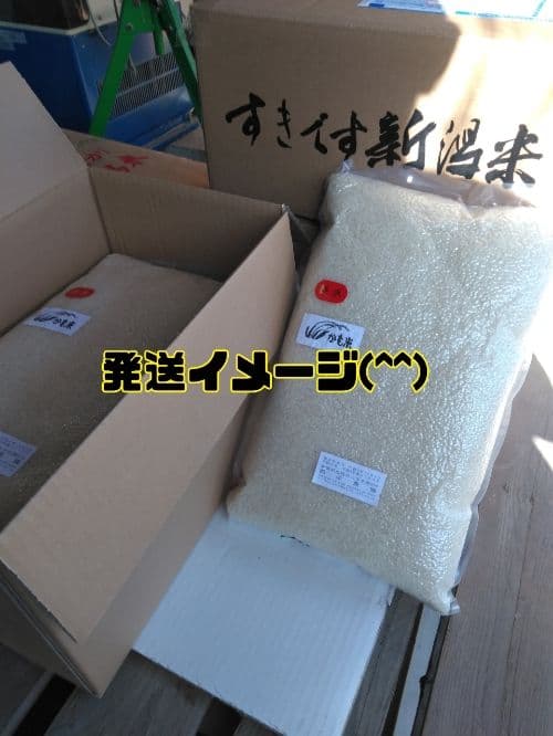 特別栽培米新潟県産コシヒカリ20k