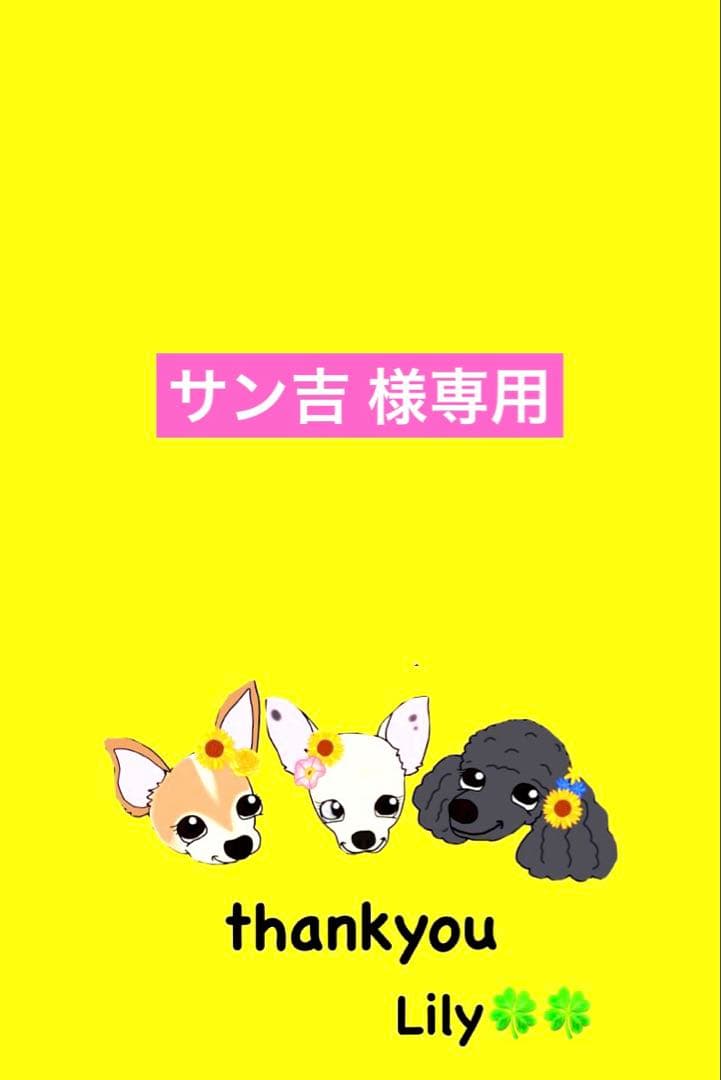 サン吉  ꒡̈⃝Lily꒡̈⃝犬服ハンドメイド