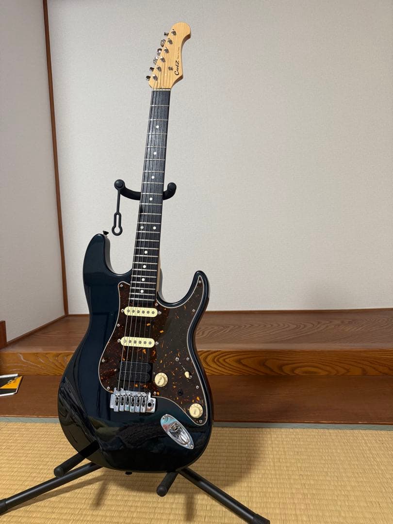 Coolz zs1-m FGN製