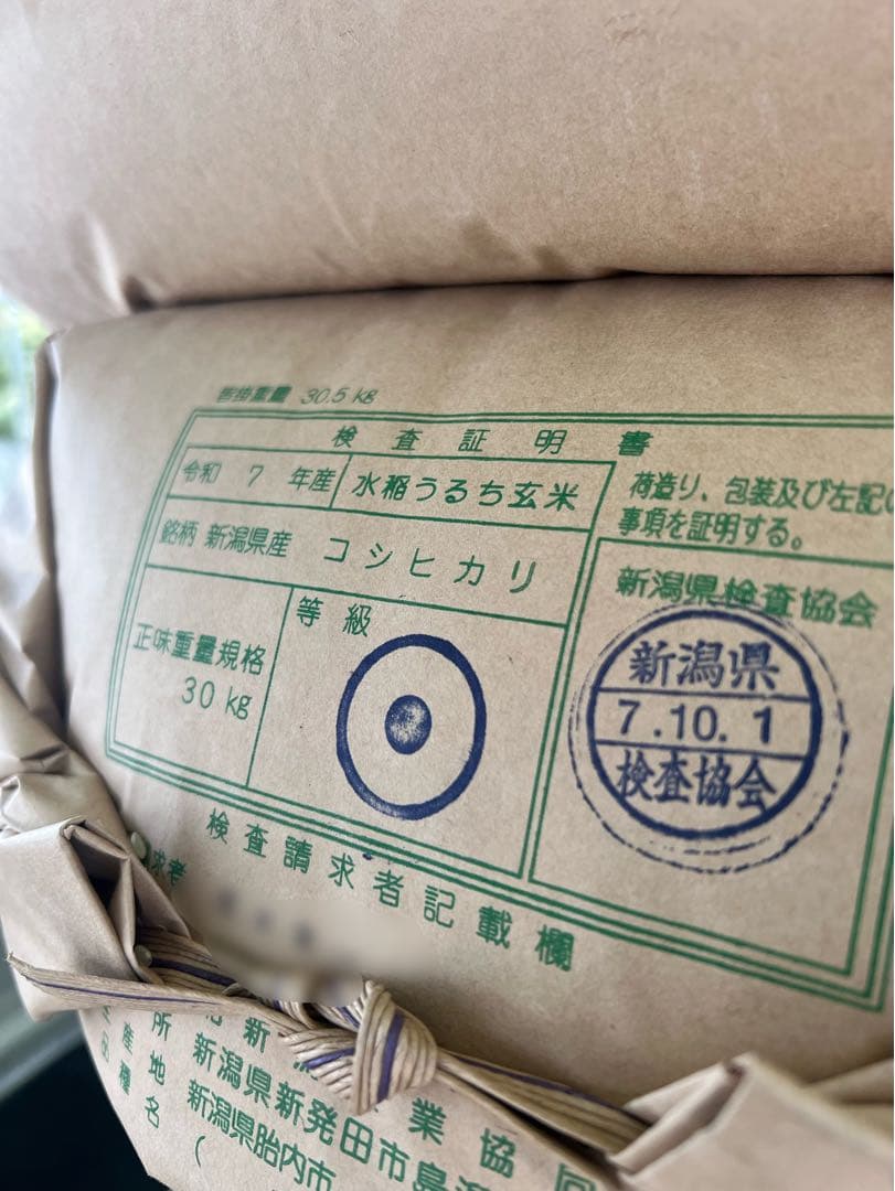 【令和7年産】【一等米】新潟県産従来品種コシヒカリ精米(白米)10kg B⑥