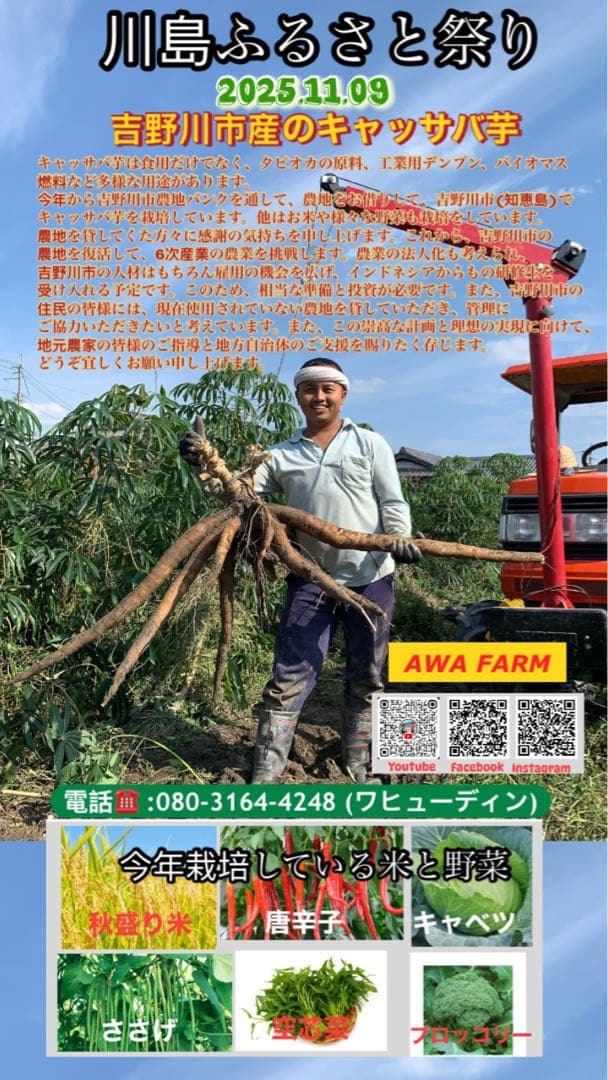 キャッサバ芋 16Kg 新鮮
