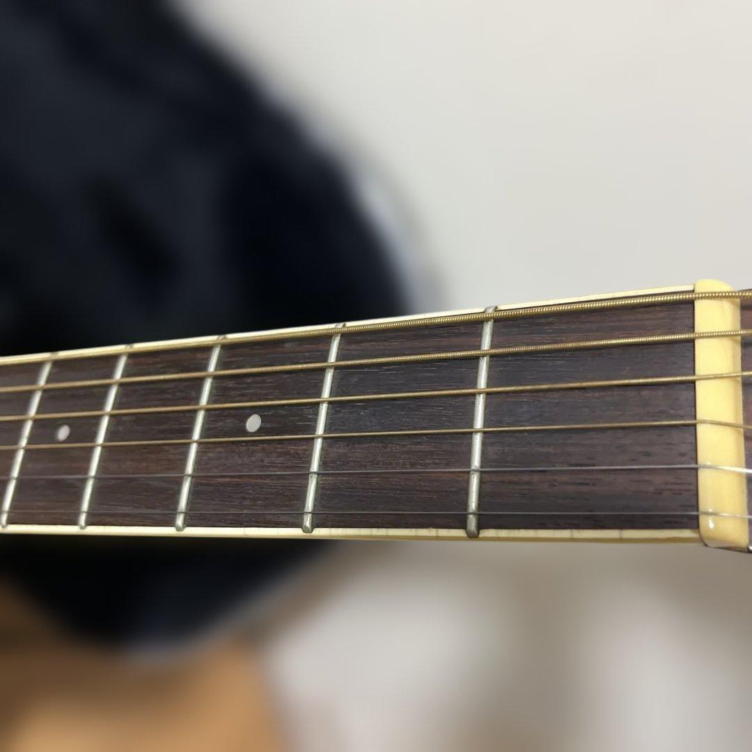 Ibanez Performance PE-15TV ハードケース付