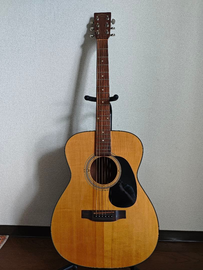 Aria Dreadnought-25N アコースティックギター