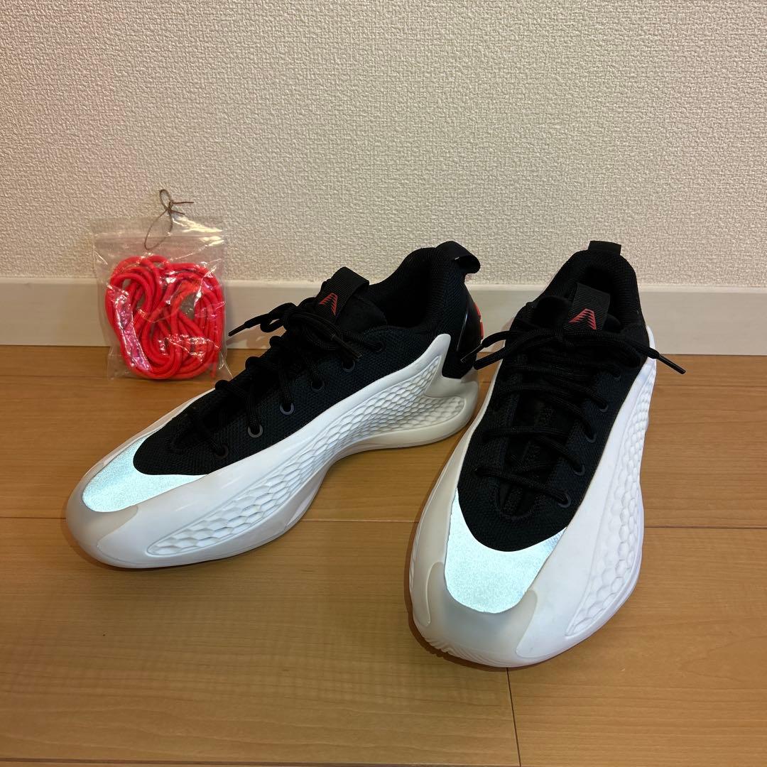 シューズ(男性用) AE1