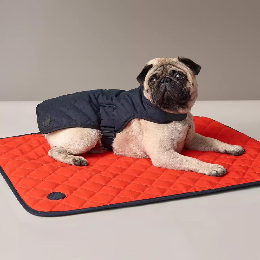 HERMES エルメス　犬用コート　サイズS