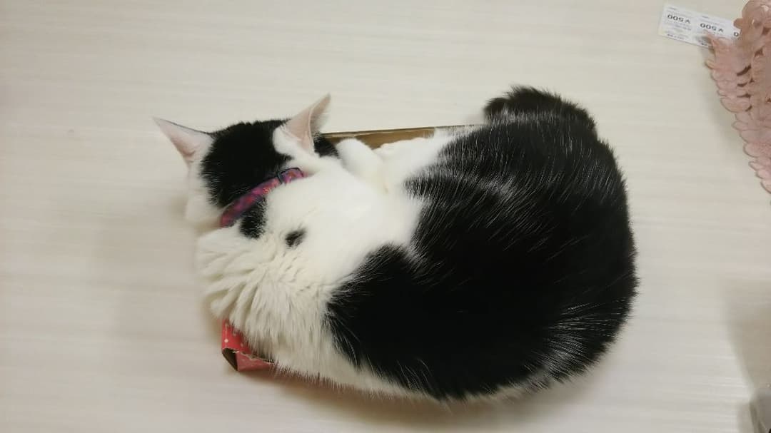 れいさんへ