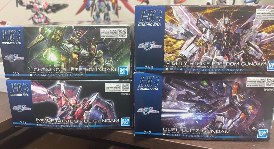 Seed FREEDOM hg 4体セット　組み立て済み