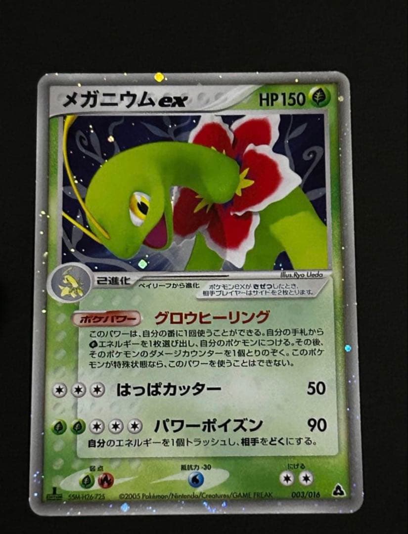 構築済みスターター メガニウムex