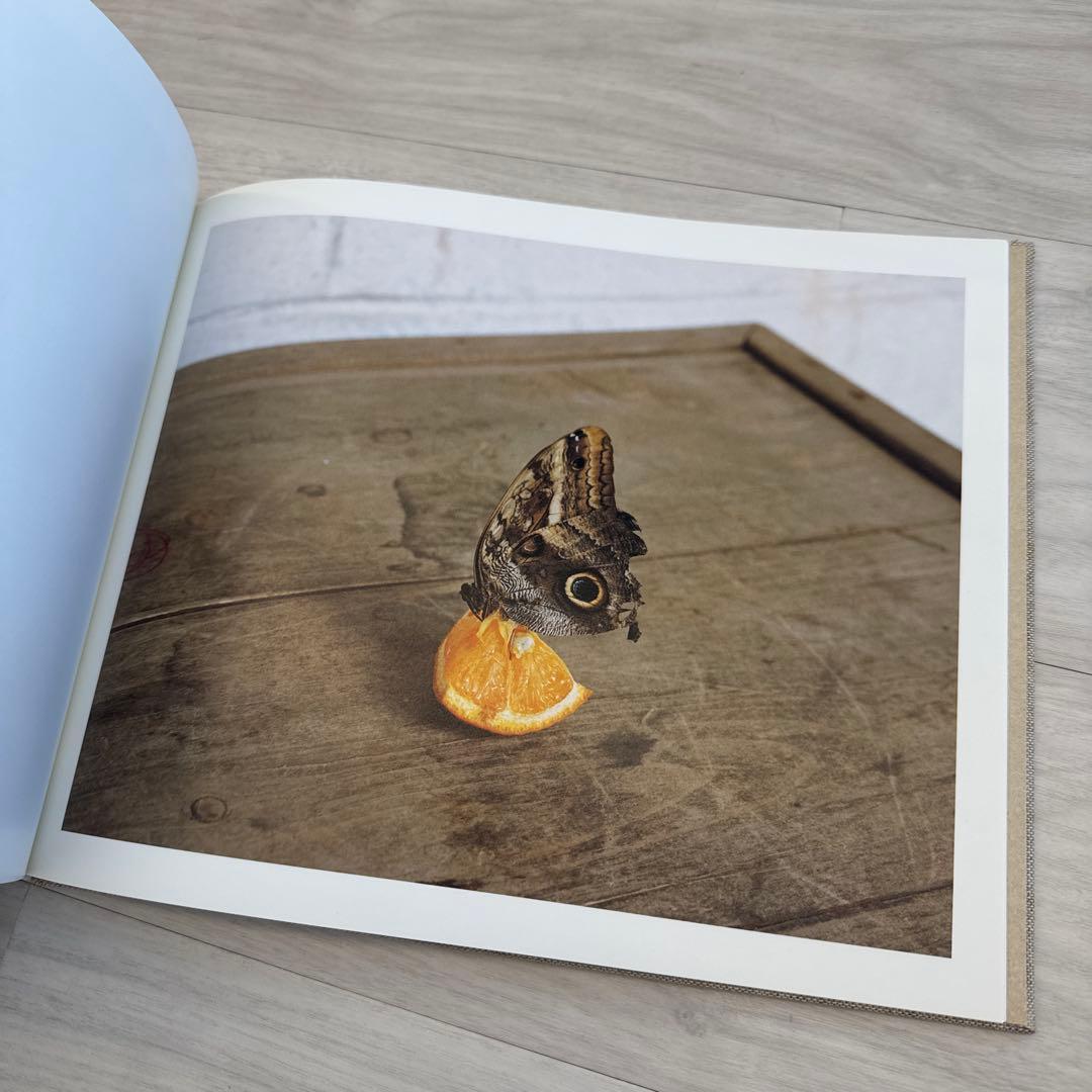 サイン入り Alec soth a pound of pictures 写真集
