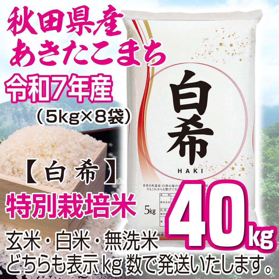 農家直送 秋田県産 令和７年 あきたこまち 40kg 特別栽培米【白希】秋田小町