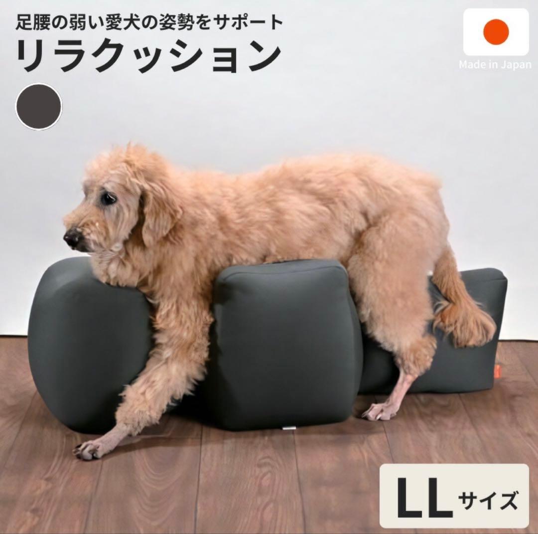 OneAid リラクッション LLサイズ 本体と撥水加工カバー付き