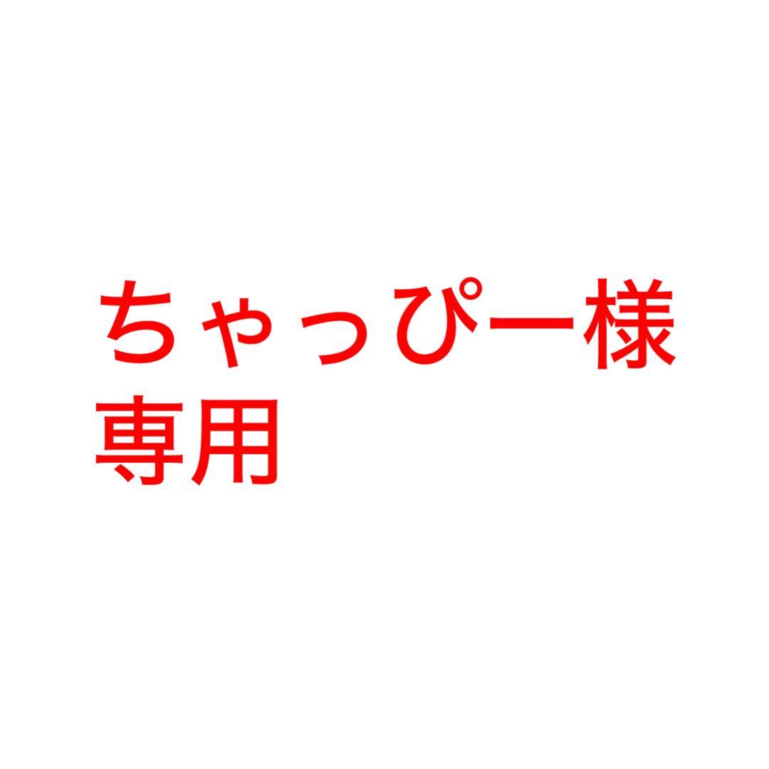 食品詰め合わせ　専用ページ