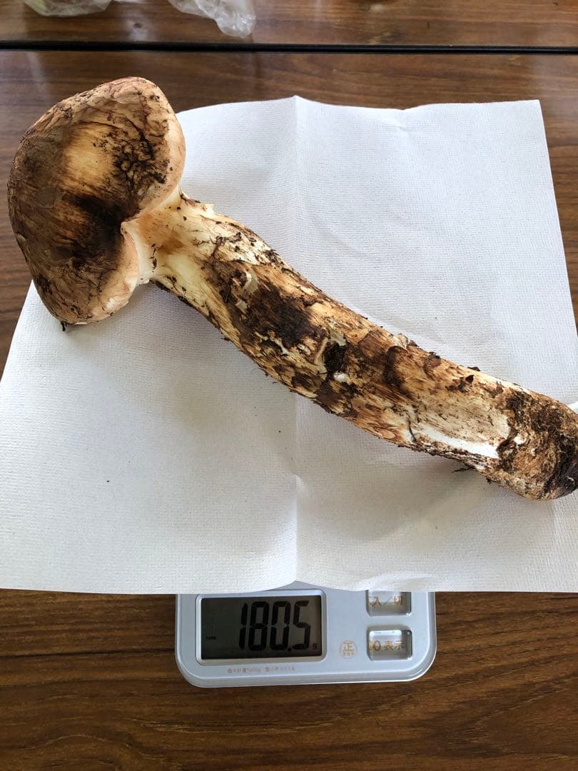 岩手県産　上物天然松茸（180.5g）