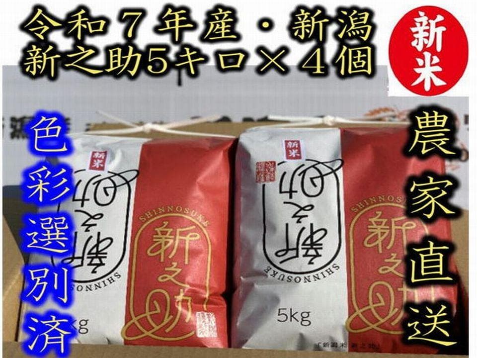 大粒な新米・令和7年産　新潟新之助　白米5キロ4個 2０キロ　精米無料★農家直送