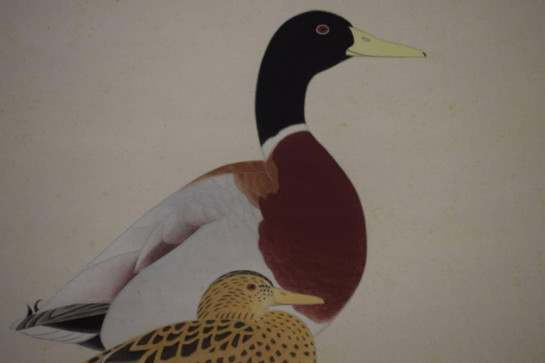 真作/鳥心/鴨図/桐共箱太巻箱付/布袋屋掛軸HG-524