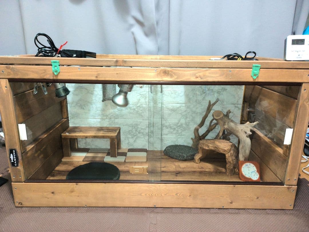 フトアゴヒゲトカゲ飼育フルセット