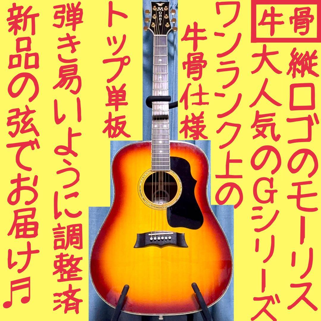 【牛骨】モーリス！G-50！【弾き易く調整☆新品の弦】