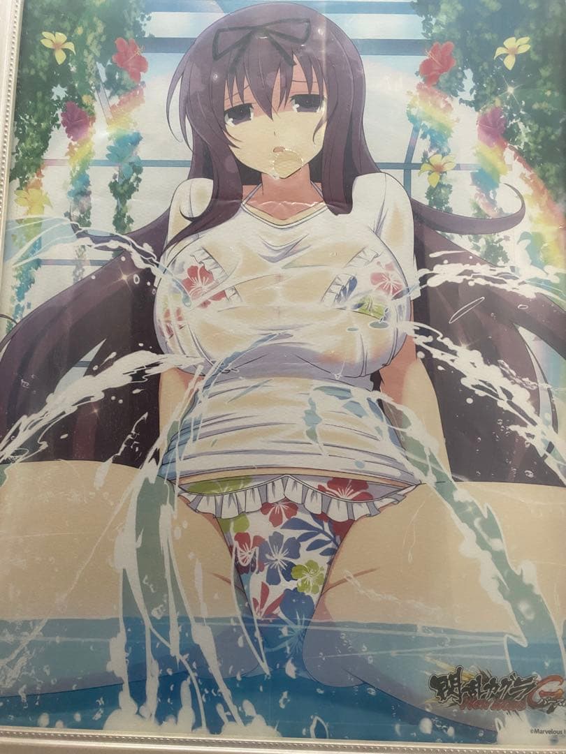 閃乱カグラ スプラッシュ くじコレ 特賞 ヴィヴィッドアートフレーム