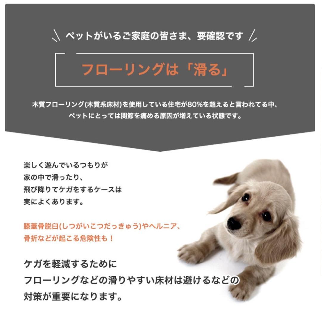 パイナ