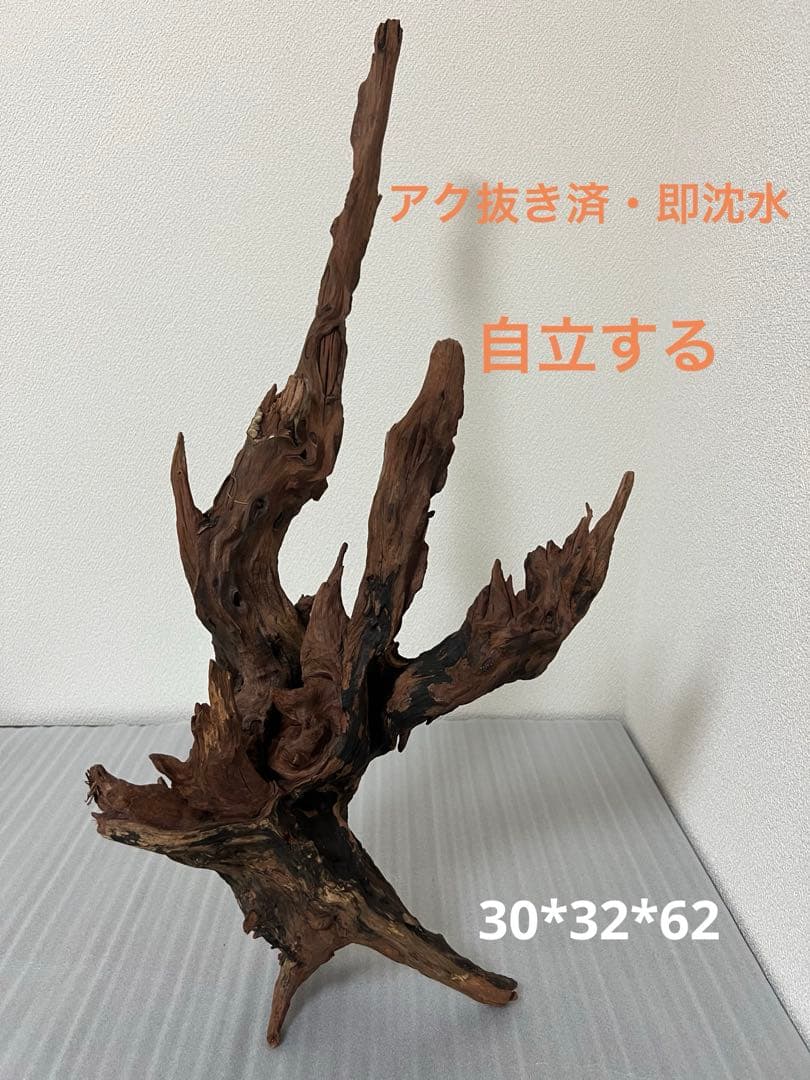 HX-080 流木　ホーンウッド　マシンガンウッド　アクアリウム　ブランチウッド