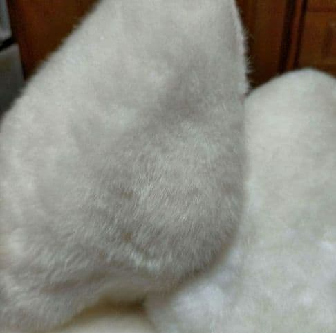 ファースト社　うさぎ　ぬいぐるみ　レトロ　特大