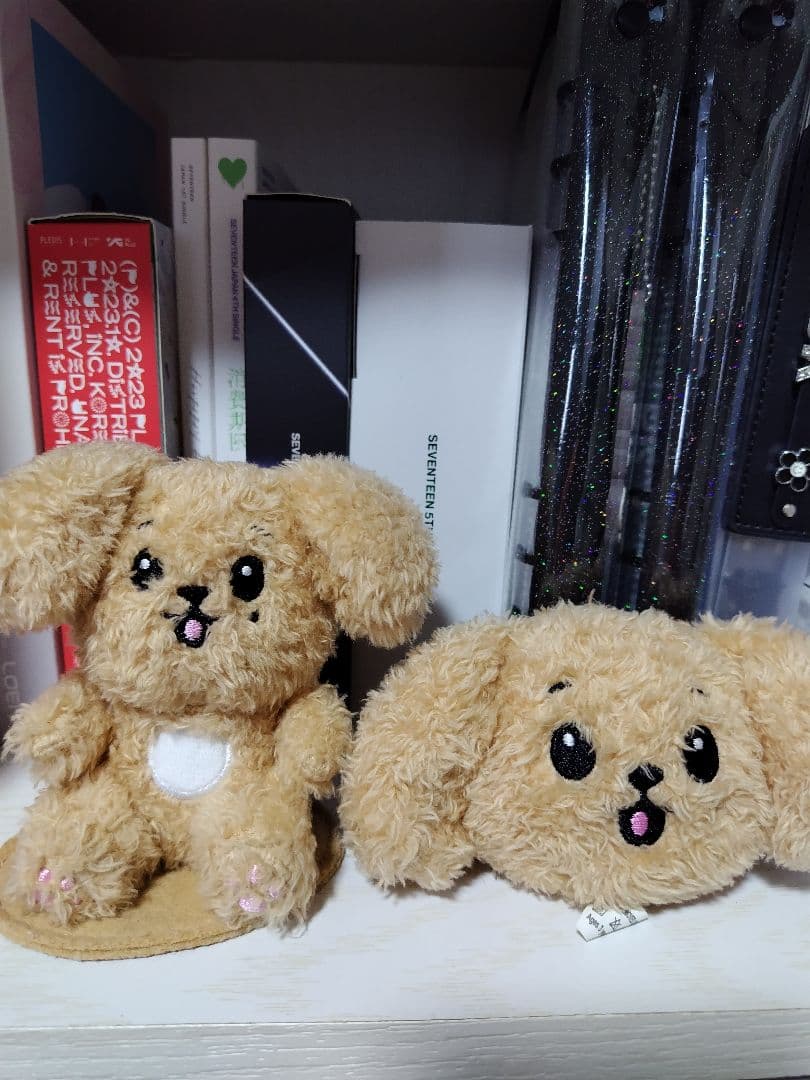 seventeenドアドギョム2体