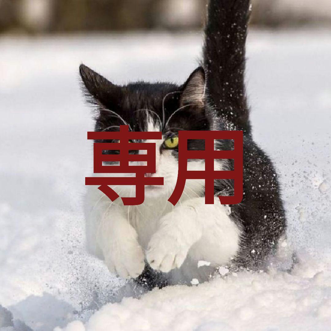 ウェア sora