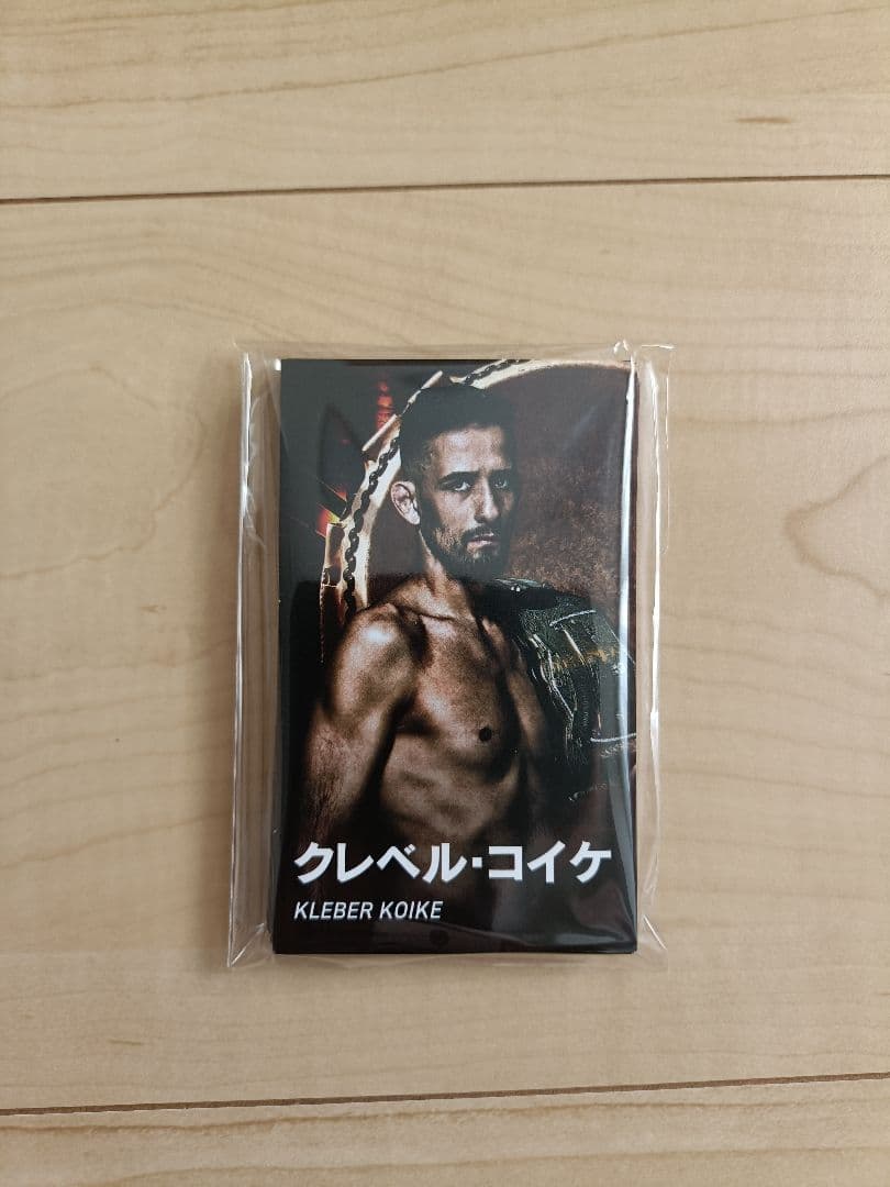 スポーツ選手 RIZIN