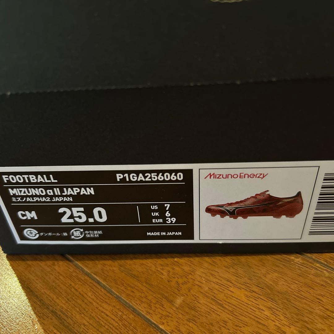 シューズ Mizuno Alpha2japan 25cm