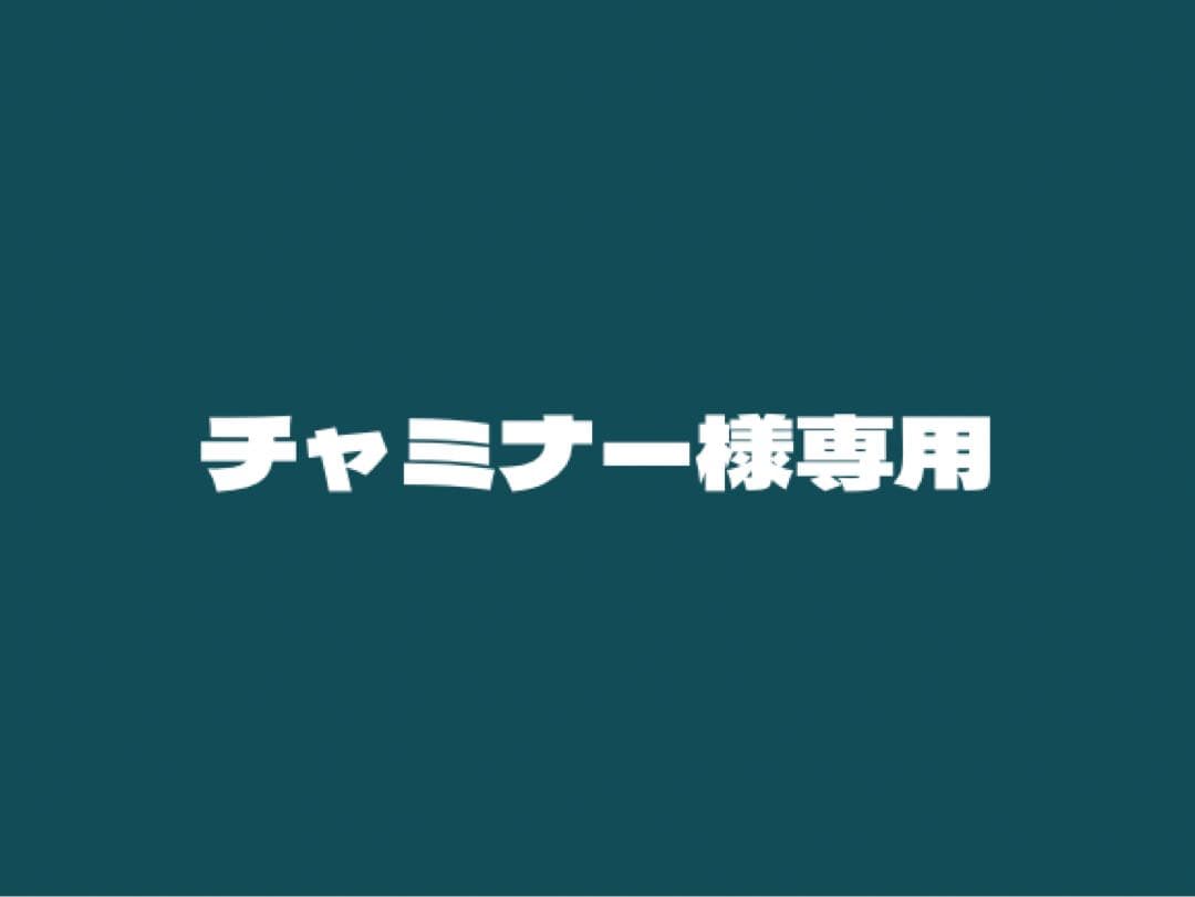 チャミナー