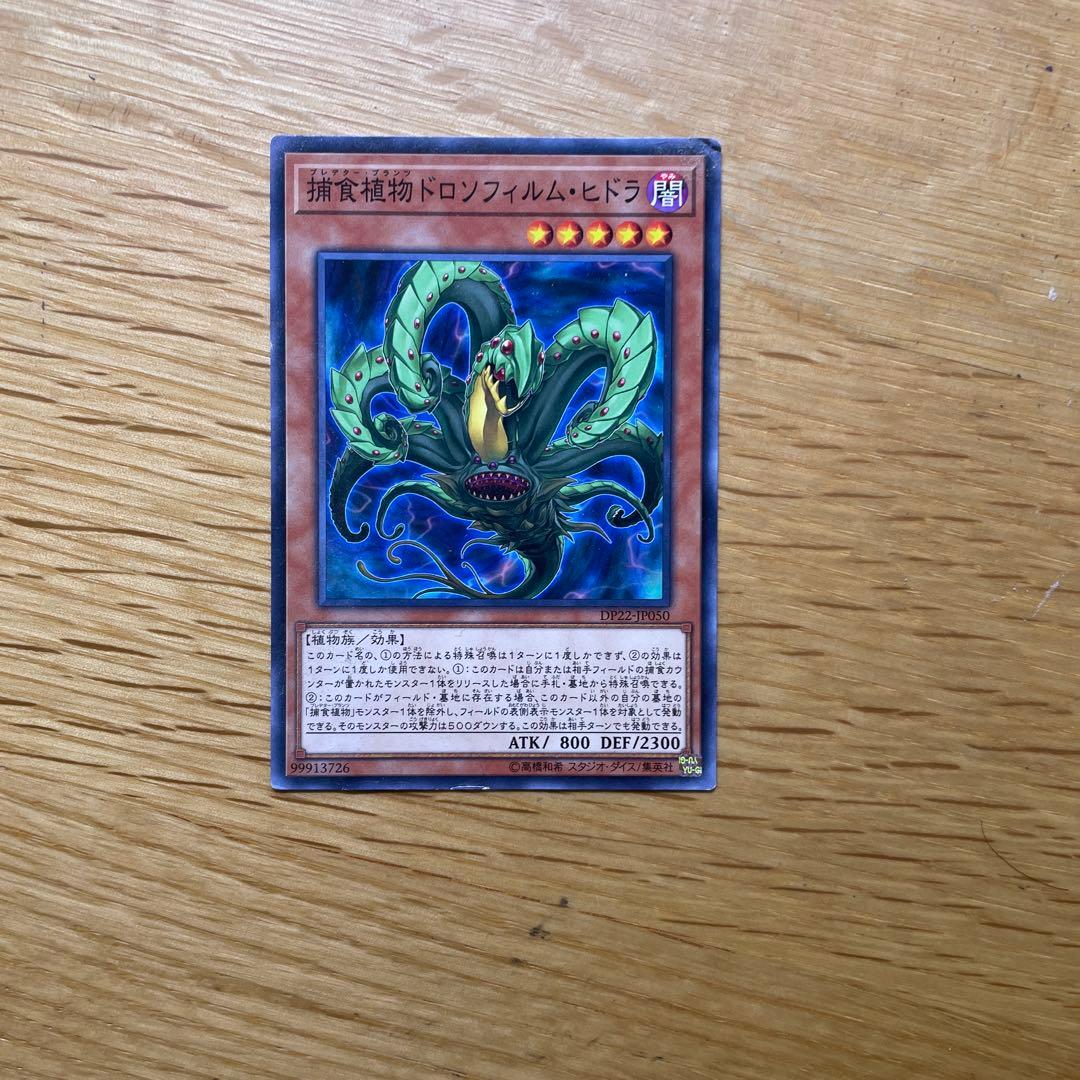 遊⭐︎戯⭐︎王