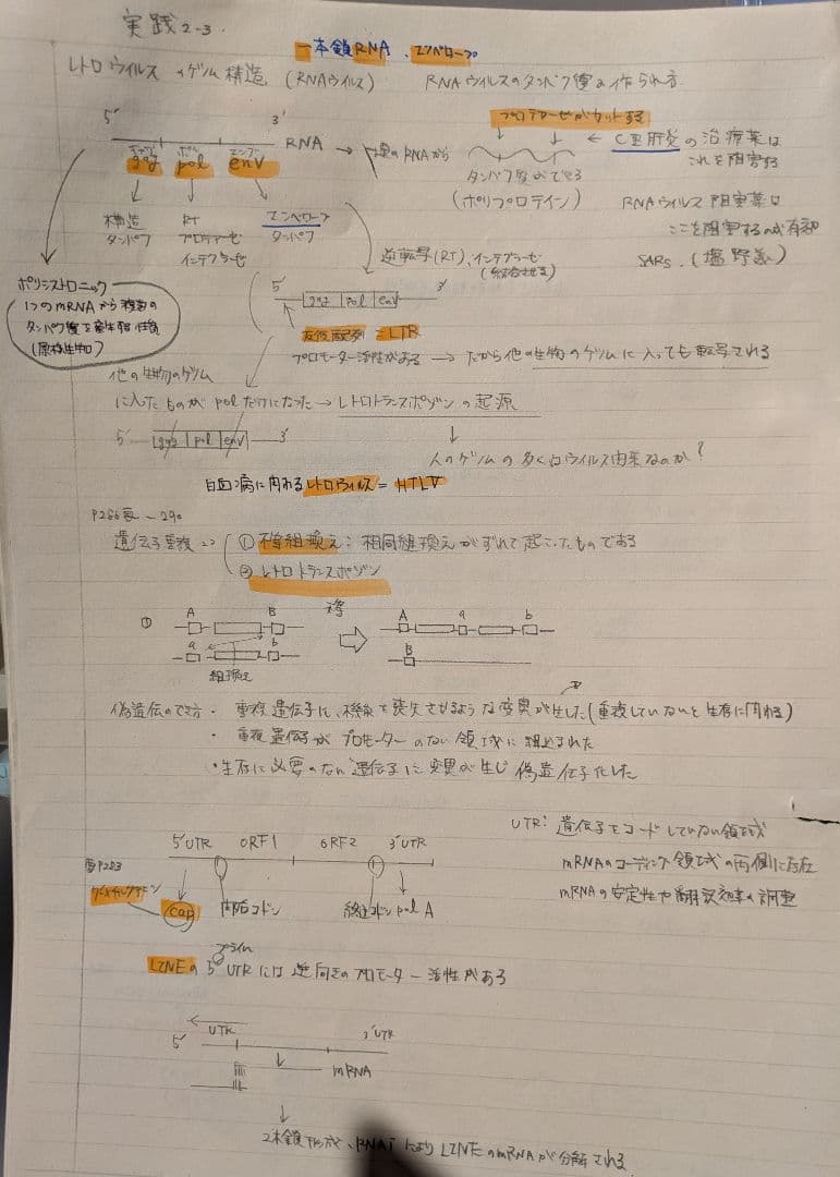 kals　生命科学2025年度版　教材板書ノートコピー
