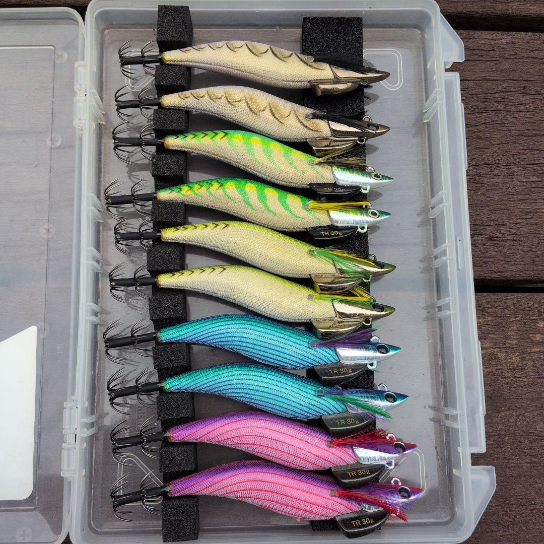 ダートマックス　TR tr パープル　ボーダー　グリーン　パープルレッド系