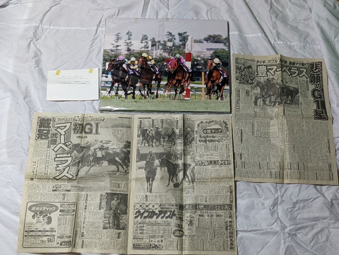 マーベラスサンデー　武豊　宝塚記念　 競走馬パネル　スポーツ新聞付き