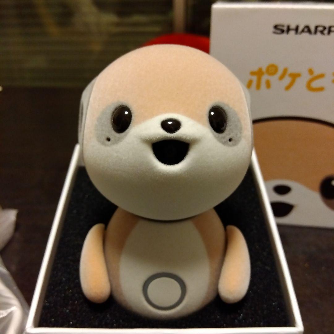 コンパニオン ロボット ポケとも SR-C01M-W と充電アダプターのセット