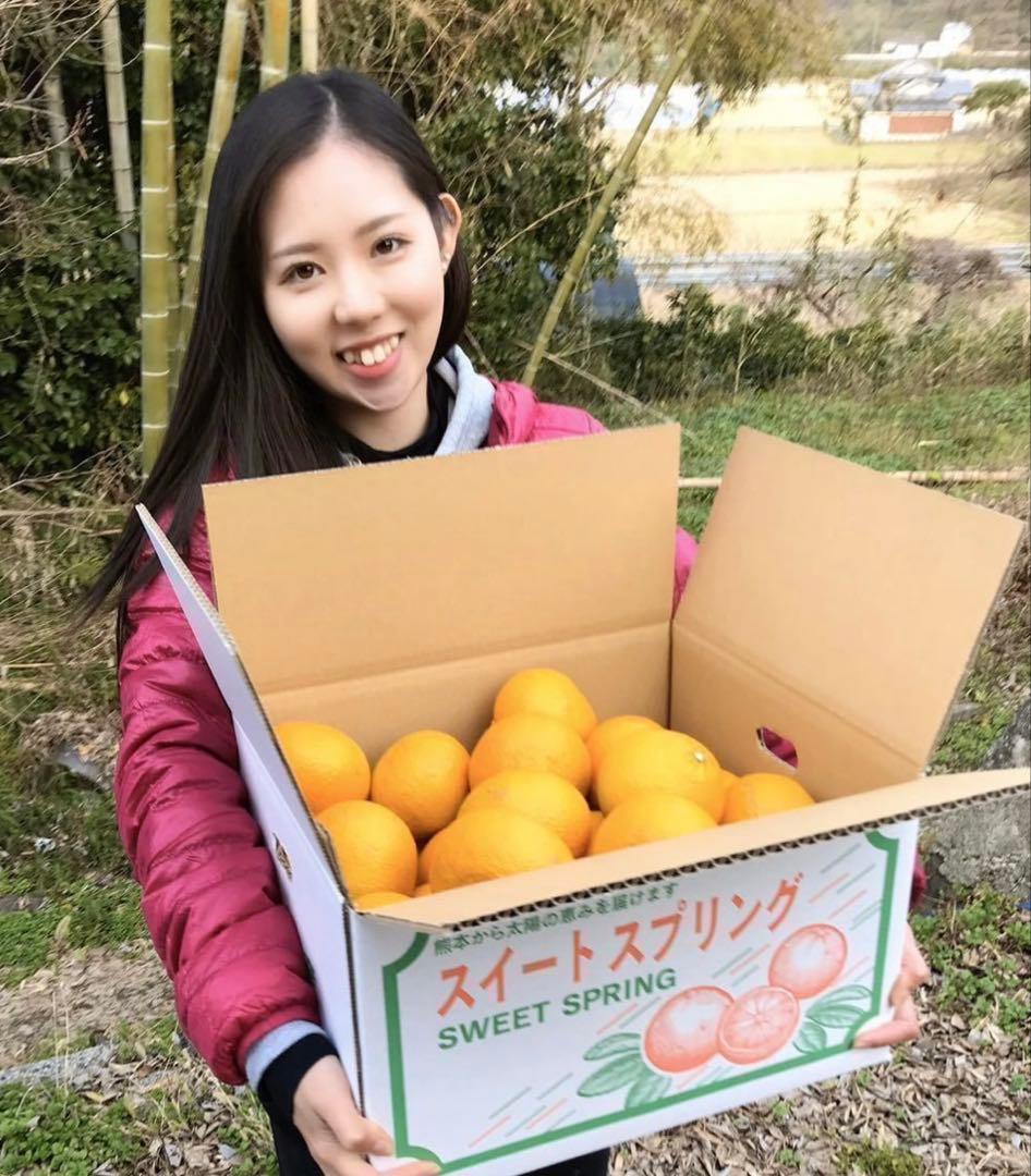味にハズレなし！見た目を裏切る美味しさ【熊本産スイートスプリングMサイズ約20k