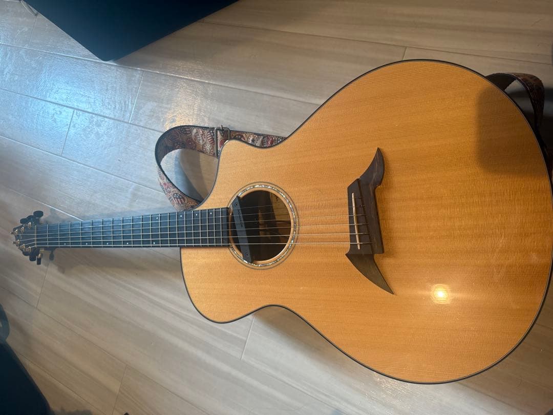 ギター breedlove American c25
