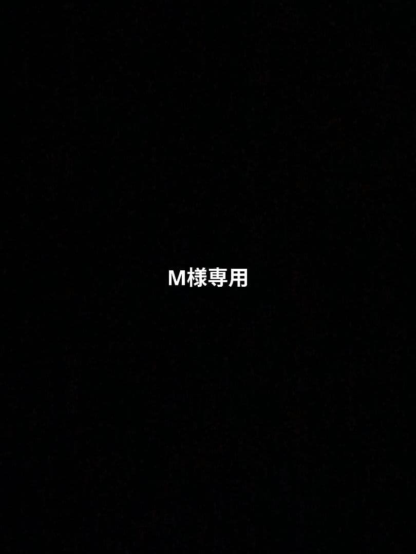 Mさん専用
