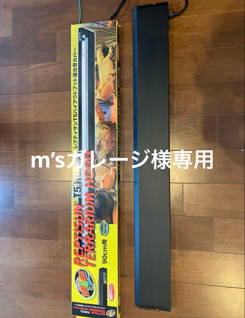 レプティサン